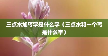 三点水加丐字是什么字（三点水和一个丐是什么字）