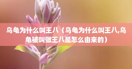 乌龟为什么叫王八（乌龟为什么叫王八,乌龟被叫做王八是怎么由来的）