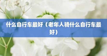 什么自行车最好（老年人骑什么自行车最好）
