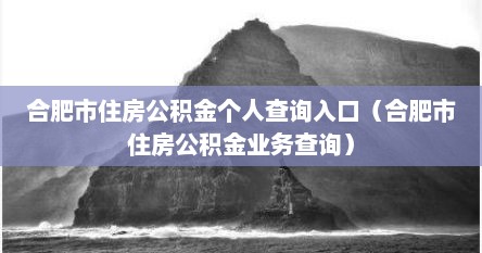合肥市住房公积金个人查询入口（合肥市住房公积金业务查询）