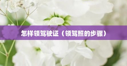 怎样领驾驶证（领驾照的步骤）