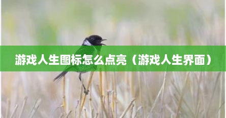 游戏人生图标怎么点亮（游戏人生界面）