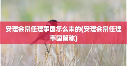 安理会常任理事国怎么来的(安理会常任理事国简称)