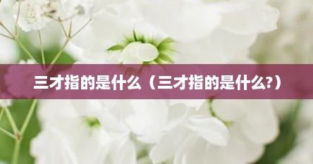 三才指的是什么（三才指的是什么?）
