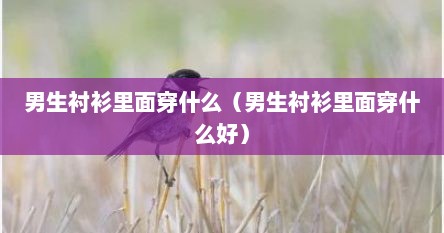 男生衬衫里面穿什么(男生衬衫里面穿什么好)