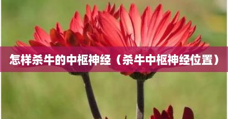 怎样杀牛的中枢神经（杀牛中枢神经位置）