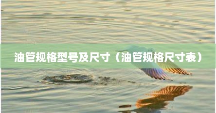 油管规格型号及尺寸（油管规格尺寸表）