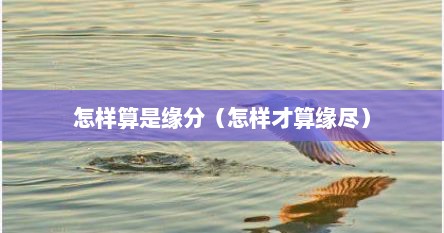 怎样算是缘分（怎样才算缘尽）