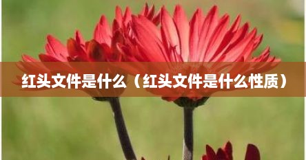 红头文件是什么（红头文件是什么性质）