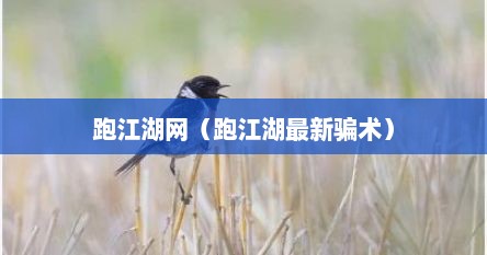 跑江湖网（跑江湖最新骗术）