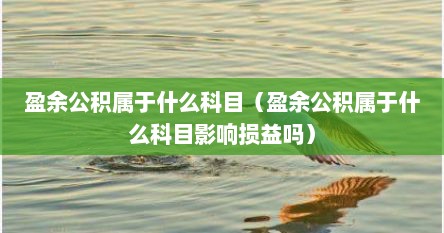盈余公积属于什么科目（盈余公积属于什么科目影响损益吗）