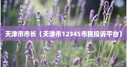 天津市市长（天津市12345市民投诉平台）