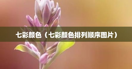 七彩颜色（七彩颜色排列顺序图片）