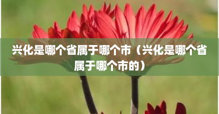 兴化是哪个省属于哪个市（兴化是哪个省属于哪个市的）