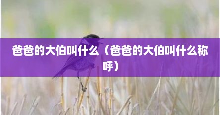 爸爸的大伯叫什么（爸爸的大伯叫什么称呼）