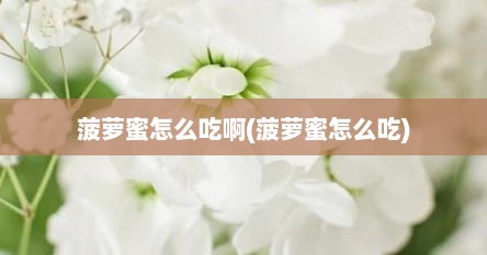 菠萝蜜怎么吃啊(菠萝蜜怎么吃)