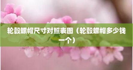 轮毂螺帽尺寸对照表图（轮毂螺帽多少钱一个）