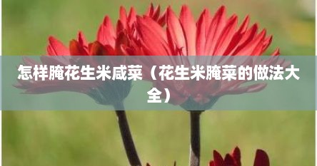 腌花生米咸菜的做法大全（腌花生米咸菜的正确做法）