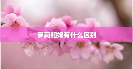 萝莉和娘有什么区别