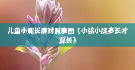 儿童小腿长度对照表图（小孩小腿多长才算长）