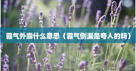 霸气外露什么意思（霸气侧漏是夸人的吗）