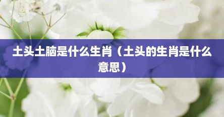 土头土脑是什么生肖（土头的生肖是什么意思）