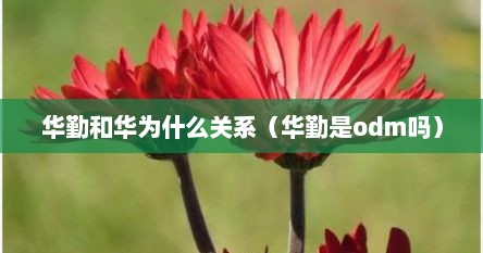华勤和华为什么关系（华勤是odm吗）