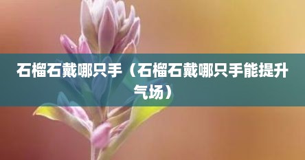 石榴石戴哪只手（石榴石戴哪只手能提升气场）