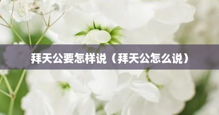 拜天公要怎样说（拜天公怎么说）
