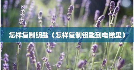 怎样复制钥匙（怎样复制钥匙到电梯里）