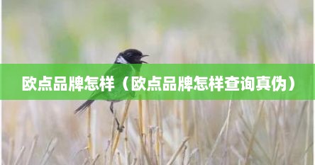欧点品牌怎样（欧点品牌怎样查询真伪）