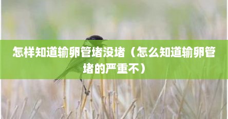 怎样知道输卵管堵没堵（怎么知道输卵管堵的严重不）