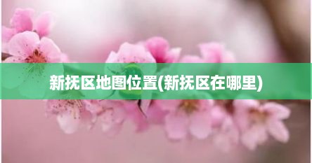 新抚区地图位置(新抚区在哪里)