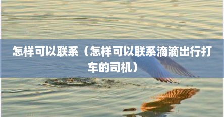怎样可以联系（怎样可以联系滴滴出行打车的司机）