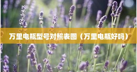 万里电瓶型号对照表图（万里电瓶好吗）