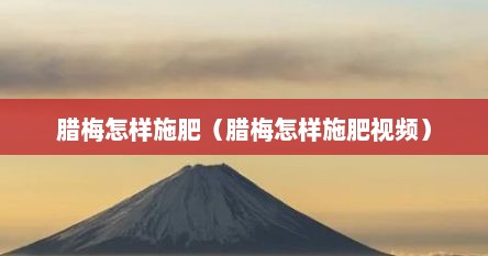 腊梅怎样施肥（腊梅怎样施肥视频）