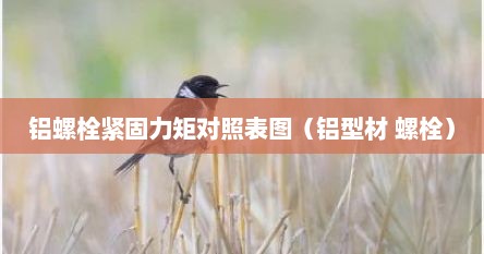铝螺栓紧固力矩对照表图（铝型材 螺栓）