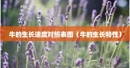 牛的生长速度对照表图（牛的生长特性）
