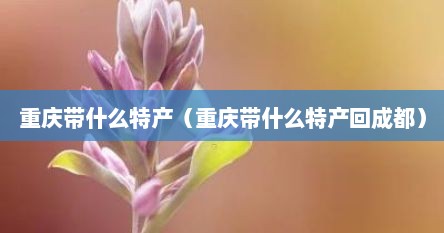 重庆带什么特产（重庆带什么特产回成都）