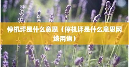 停机坪是什么样的?图片（停机坪的概念）