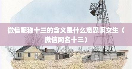 微信昵称十三的含义是什么意思啊女生（微信网名十三）
