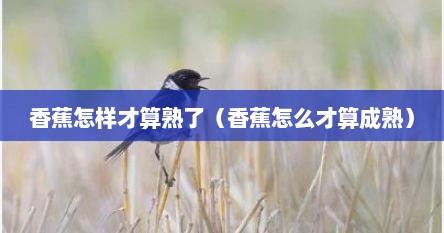 香蕉怎样才算熟了（香蕉怎么才算成熟）