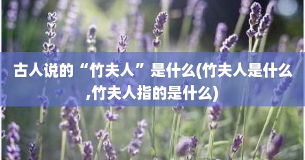 古人说的“竹夫人”是什么(竹夫人是什么,竹夫人指的是什么)