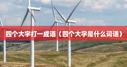 四个大字打一成语（四个大字是什么词语）