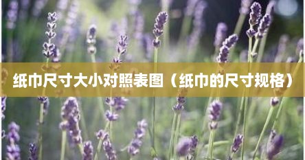纸巾尺寸大小对照表图（纸巾的尺寸规格）