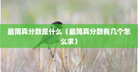 最简真分数是什么（最简真分数有几个怎么求）