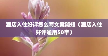 酒店入住好评怎么写文案简短(酒店入住好评通用50字)