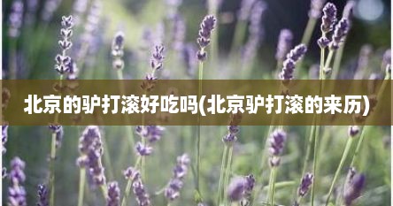 北京的驴打滚好吃吗(北京驴打滚的来历)