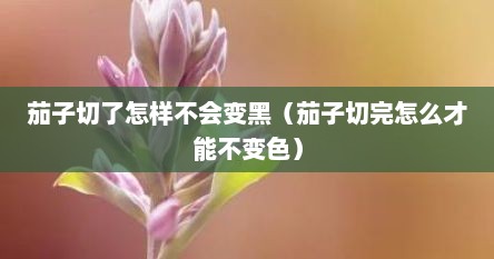 茄子切了怎样不会变黑（茄子切完怎么才能不变色）
