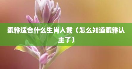貔貅适合什么生肖人戴（怎么知道貔貅认主了）